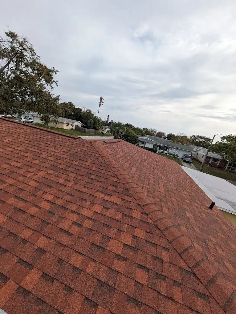 Roof Inspection